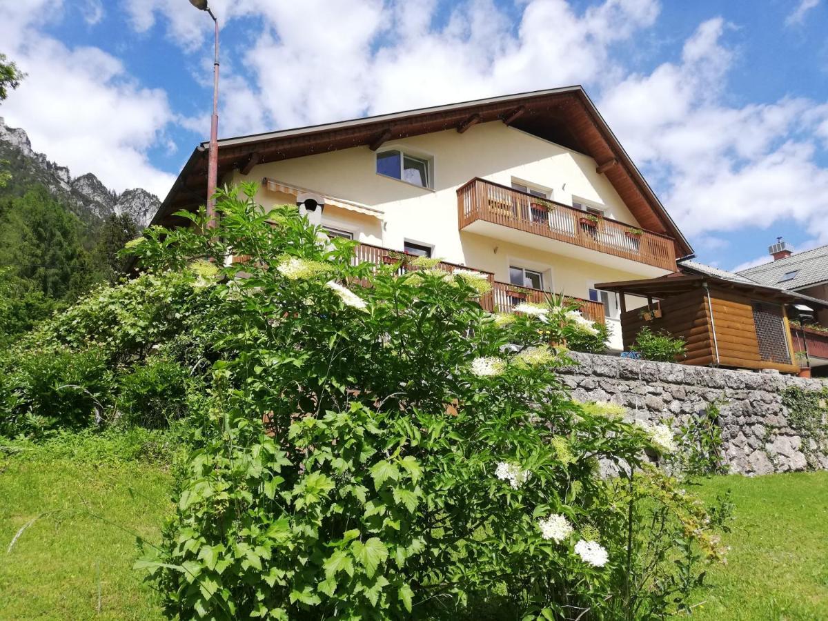 Apartments Mas Dovje Eksteriør bilde