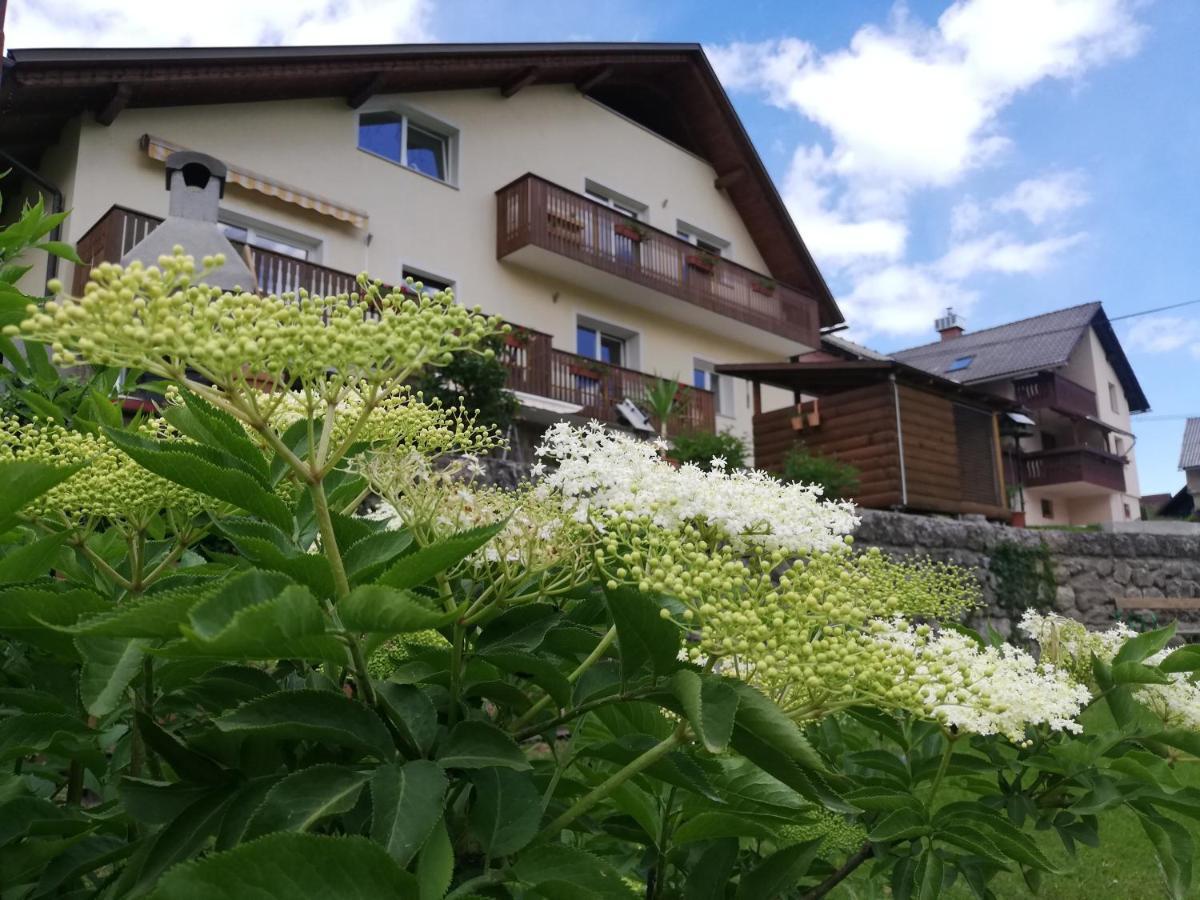 Apartments Mas Dovje Eksteriør bilde